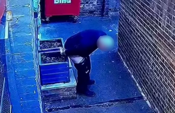 ‘Disgusting’ bloke poos into alleyway flower bed – and ‘it won’t stop’