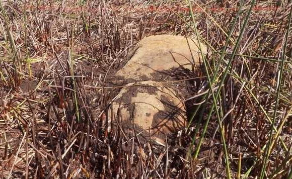 Easter Island mystery after new moai statue found at bottom of lagoon