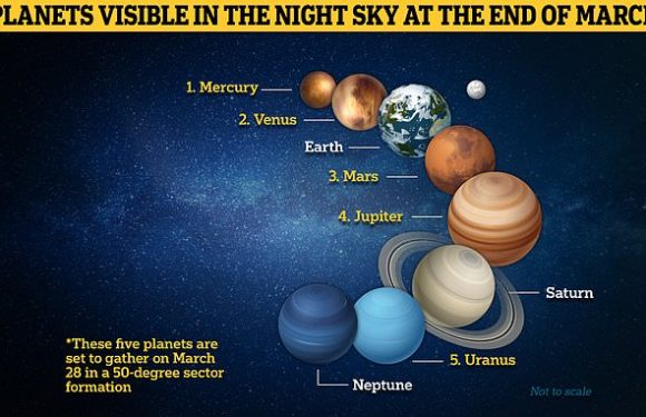 FIVE planets will be visible in the night sky on Tuesday evening