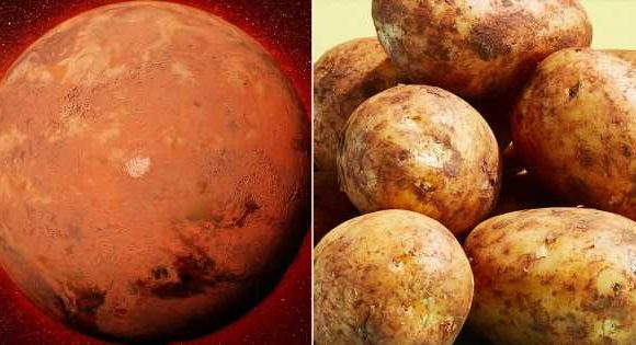 First human settlers on Mars may live in ‘potato homes’ made out of ‘space veg’