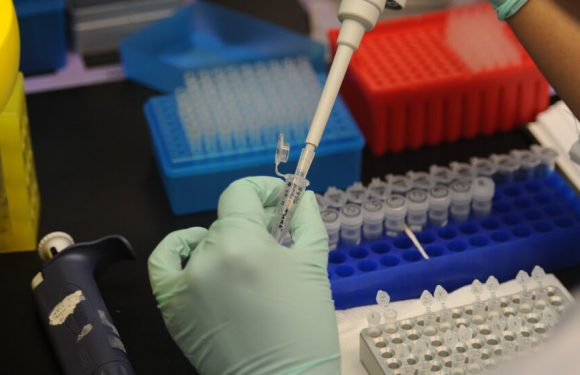 Guidelines Warn Against Racial Categories in Genetic Research