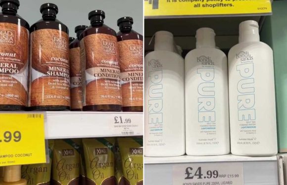 Home Bargains is the best for budget shopping – I pick up loads of high-end brands including a £77 beauty buy for £4 | The Sun