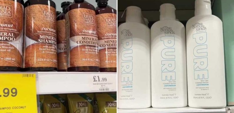 Home Bargains is the best for budget shopping – I pick up loads of high-end brands including a £77 beauty buy for £4 | The Sun