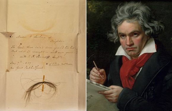 How Beethoven drank himself to DEATH