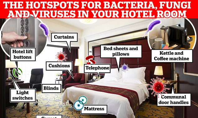 How filthy is YOUR hotel room? Bugs can be found almost everywhere