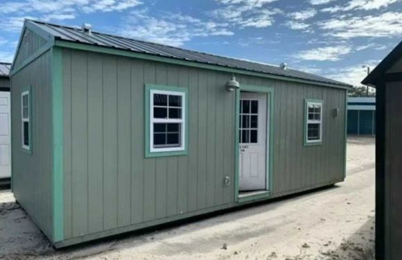 I bought an old shed & transformed it into a stylish tiny home – now I rent it out and earn £862 a month | The Sun