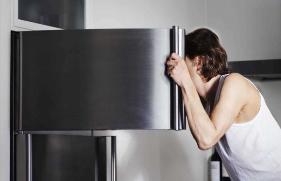 I’m a mum & there’s 5 things you have to have in your freezer to transform dinnertime – you’ll save loads of time | The Sun