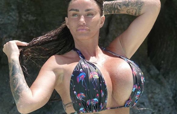 I’m a top tattoo fixer – all the ways Katie Price’s inkings are botched… and one is so awful it can never be saved | The Sun