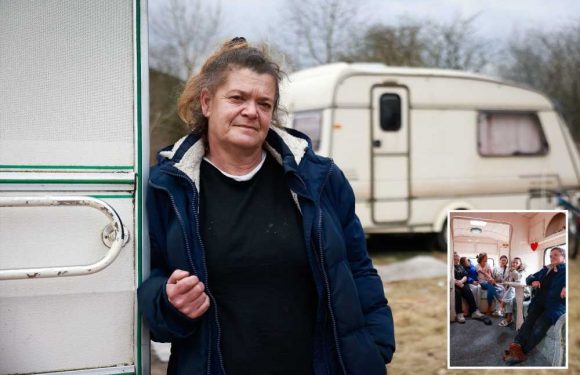 I'm a traveller and I'm fuming after the council evicted me over our dogs – I'm living with no hot water or electricity | The Sun