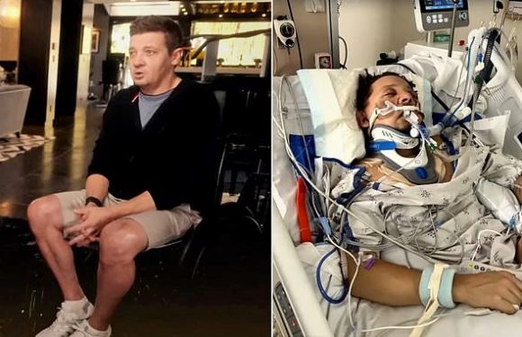 Jeremy Renner says he'd get crushed by snowplow again to save nephew