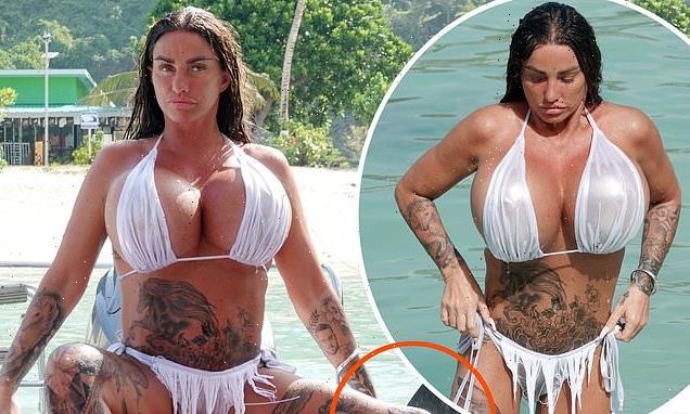 Katie Price debuts ANOTHER giant new tattoo in a skimpy bikini