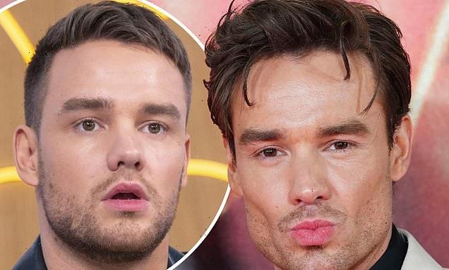 Liam Payne shocks fans with his VERY chiseled jaw