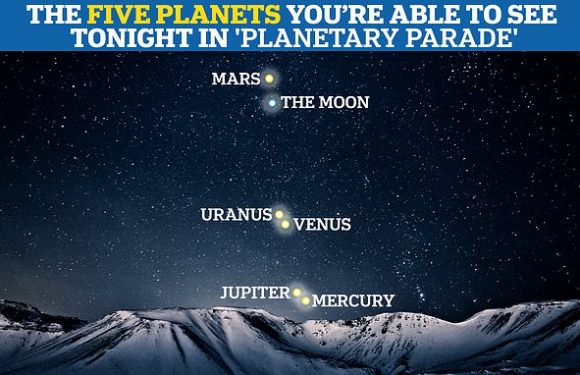 Look up TONIGHT: Jupiter, Mercury, Venus, Uranus and Mars will appear