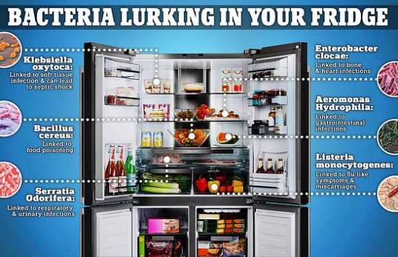 More than 4 MILLION bacteria linked to xx are lurking in your fridge