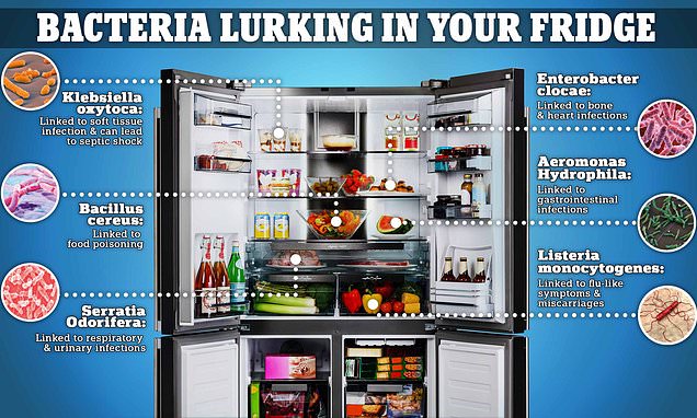 More than 4 MILLION bacteria linked to xx are lurking in your fridge