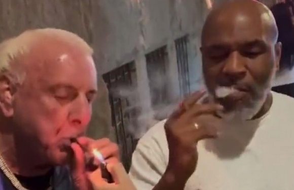 Ric Flair and Mike Tyson smoke weed to promote new erectile dysfunction product