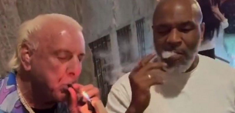 Ric Flair and Mike Tyson smoke weed to promote new erectile dysfunction product
