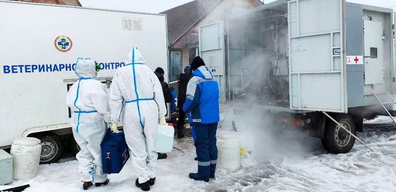 Russian village’s deadly anthrax outbreak with fears it will spread through meat