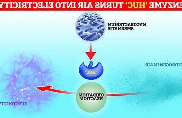 Scientists discover an enzyme that turns air into ELECTRICITY