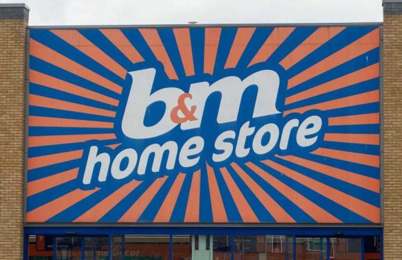 Shoppers are divided over a very cheeky B&M vase | The Sun