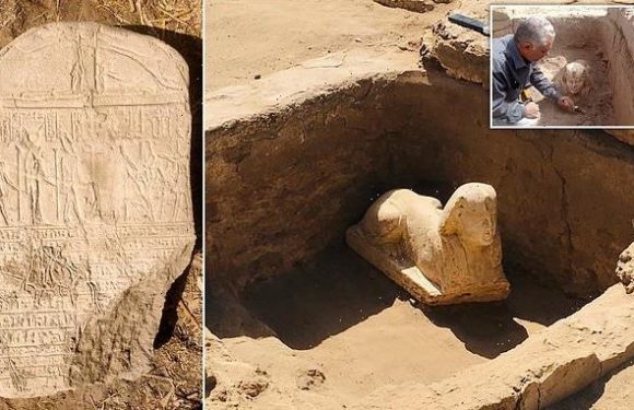 Sphinx statue with a 'smiley face and two dimples' unearthed in Egypt