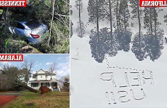 Storms continue to hit US, more than a dozen killed
