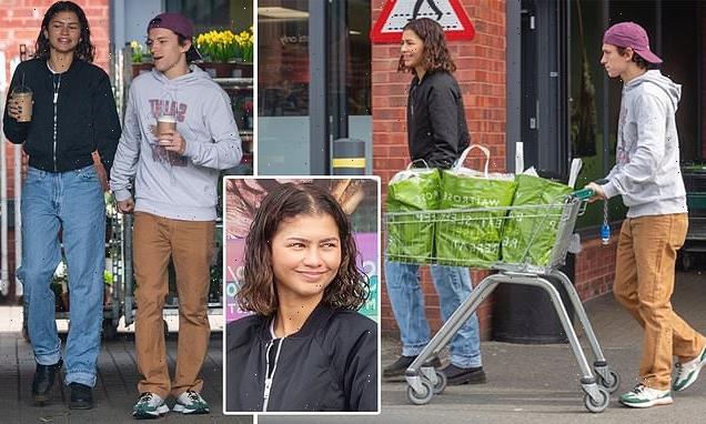 Tom Holland and Zendaya stop by the supermarket in London