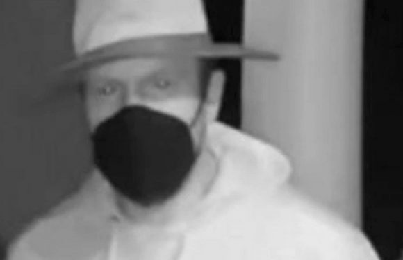 Town’s creepy ‘Night Stalker’ prowler ‘is preparing’ to strike claims FBI expert