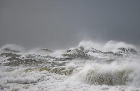 UN agree historic new treaty to protect the high seas