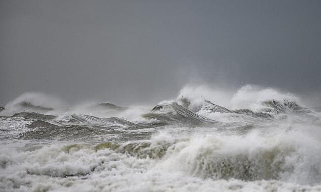 UN agree historic new treaty to protect the high seas