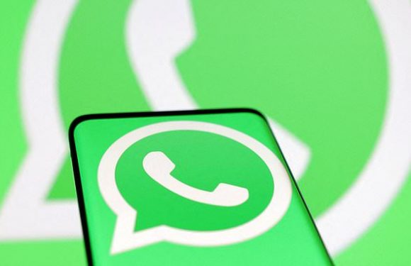 WhatsApp trick lets you see which groups you have in common