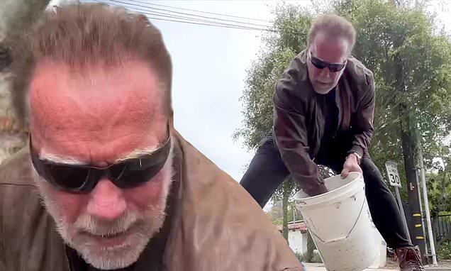 Arnold Schwarzenegger fills in damaging potholes in LA street