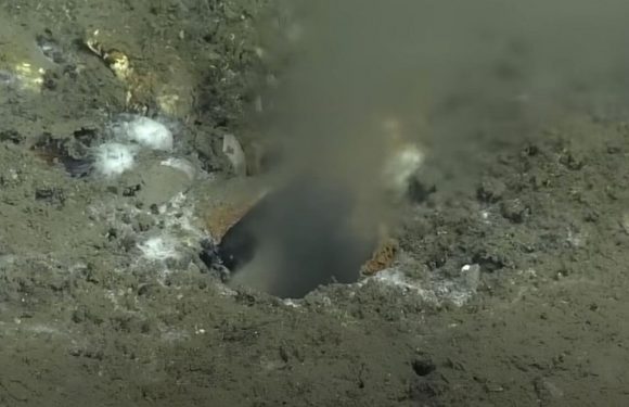 Baffled scientists find giant hole at the bottom of the ocean – and it’s leaking