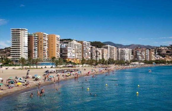 Brit, 23, charged with stabbing Spanish man to death in horror Costa del Sol road rage attack | The Sun