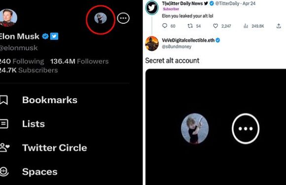 Does Elon Musk have a secret second Twitter account?