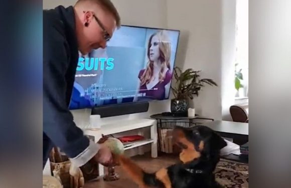 Dog only responds to owner’s boyfriend when he talks with accent