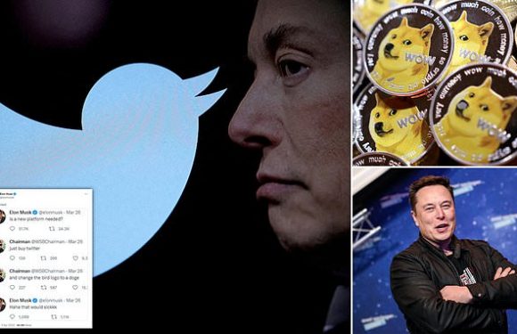 Elon Musk replaces Twitter's bird icon with Dogecoin's cartoon mascot