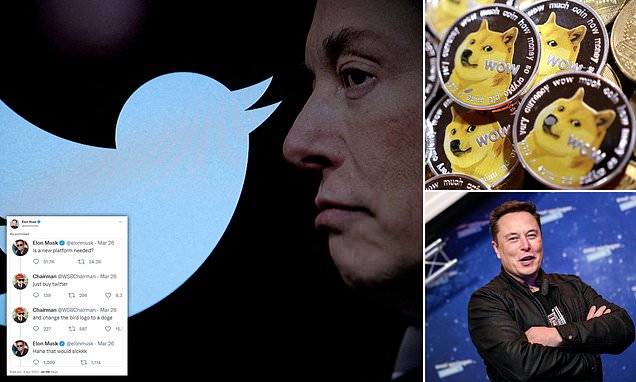 Elon Musk replaces Twitter's bird icon with Dogecoin's cartoon mascot