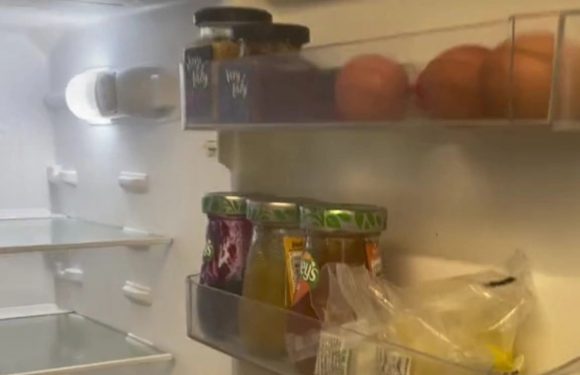 I’m a mum and didn’t food shop for a month – it was weirdly easy and saved so much time, plus we’ve still got loads left | The Sun