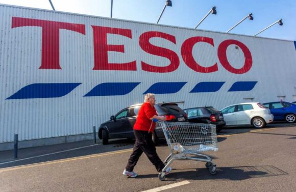 I’m a supersaver – the 7 products you should always buy at Tesco because they’re cheaper than elsewhere | The Sun