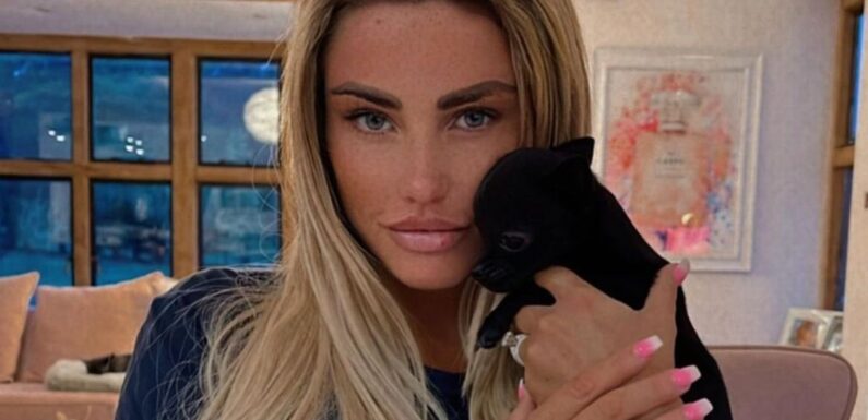 Katie Price reported to RSPCA and accused of neglect as home covered in dog mess