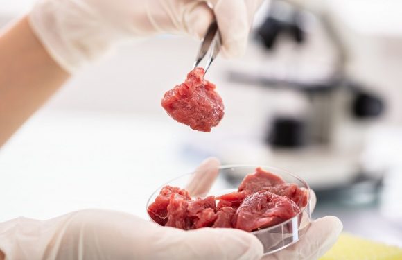 Lab-grown meat about to get tastier with addition of cultured fat