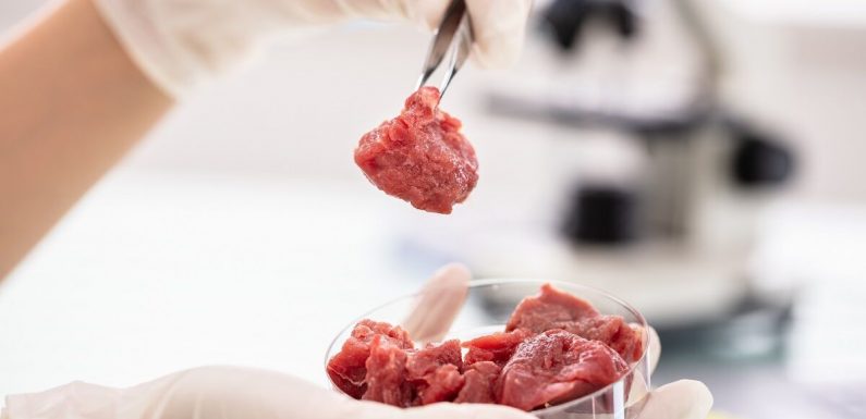 Lab-grown meat about to get tastier with addition of cultured fat