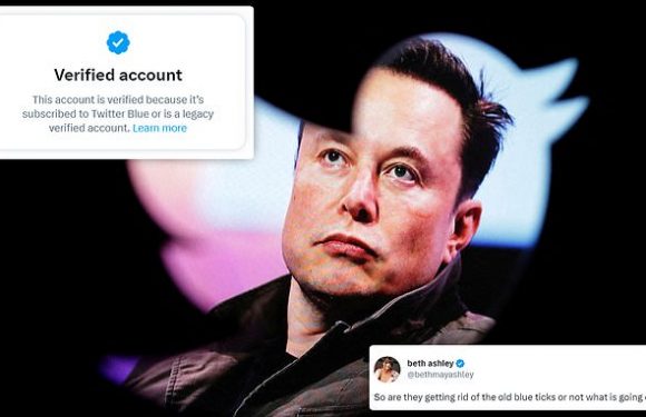 Legacy blue ticks remain on Twitter despite Elon Musk's announcement