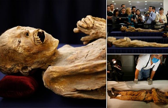 Mummy on display in Mexico has 'fungal growths' that could spread