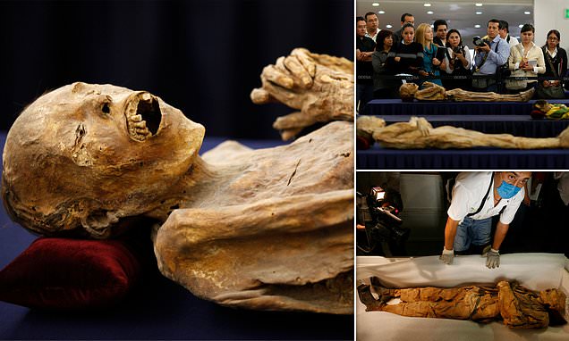Mummy on display in Mexico has 'fungal growths' that could spread