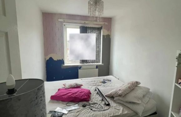 My bedroom was a total state with the wallpaper hanging off so I transformed it for £62 – people are stunned | The Sun