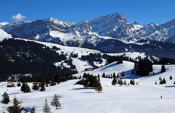 No snow was left in the Alps last summer for the first time