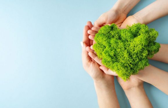 Planet saving beauty – make your routine more eco friendly