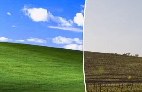 Revealed: The 'world's most viewed' image is a hill outside SF